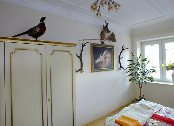 Dom Tulipan Villa Krynica Zdroj Bagian luar foto